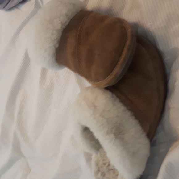 Slippers - Picture 1 of 1